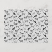  kattenpatroon briefkaart (Voorkant)