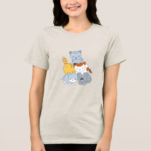 Kattenpiramide - Kattengroep Tri-Blend Shirt