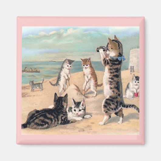 Kattenplezier bij de strandmagneet magneet (Voorkant)