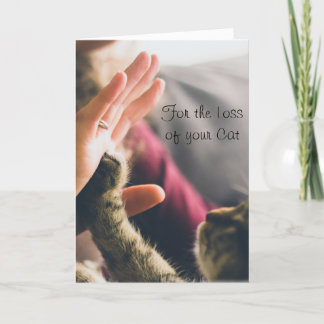 Kattenpoot geeft high-five kaart