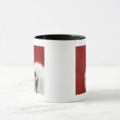 Kattenpoot Mok (Midden)