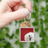 Kattenpoot Sleutelhanger (Hand)