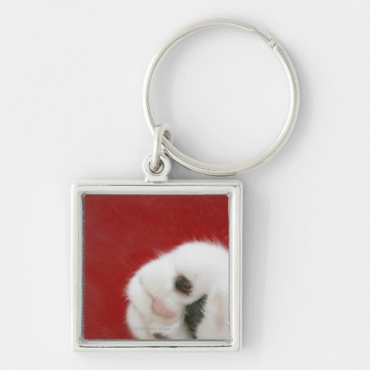 Kattenpoot Sleutelhanger (Voorkant)