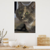 Kattenportret afdrukken poster (Keuken)