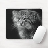 Kattenportret van Pallas Muismat (Met muis)