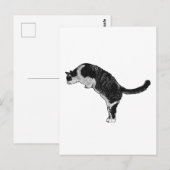 Kattenpose vreugde briefkaart (Voorkant / Achterkant)