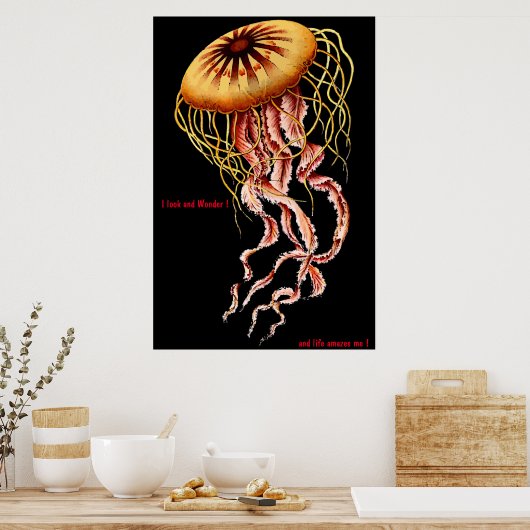 Kattenposter Poster (Keuken)