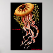 Kattenposter Poster (Voorkant)