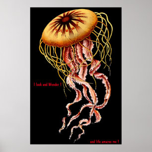 Kattenposter Poster