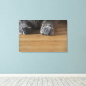 Kattenpoten Canvas Afdruk (Insitu (Houten vloer))