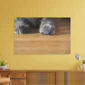 Kattenpoten Canvas Afdruk (Insitu (Woonkamer))