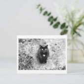 Kattenpraat Briefkaart (Staand voorkant)