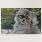 kattenpuzzel legpuzzel (Horizontaal)