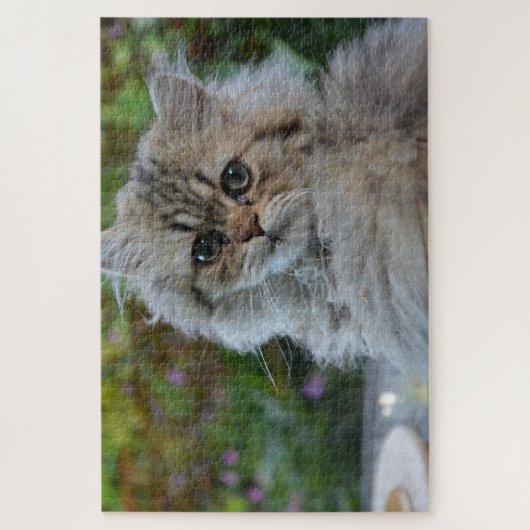 kattenpuzzel legpuzzel (Verticaal)