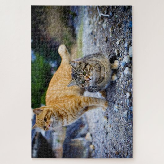 kattenpuzzel legpuzzel (Verticaal)