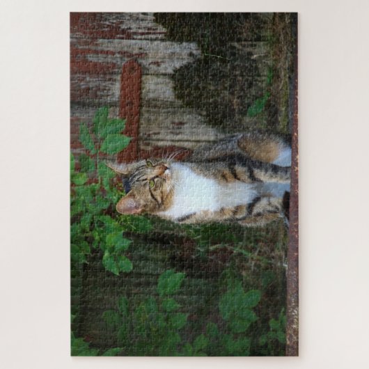 kattenpuzzel legpuzzel (Verticaal)