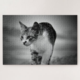 kattenpuzzel zoeken legpuzzel