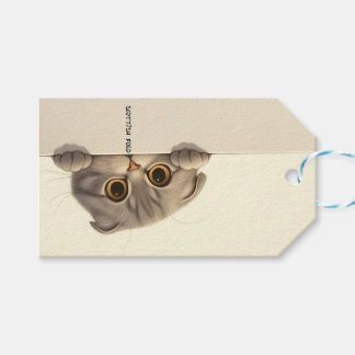 Kattenras Schotse plooi Cadeaulabel