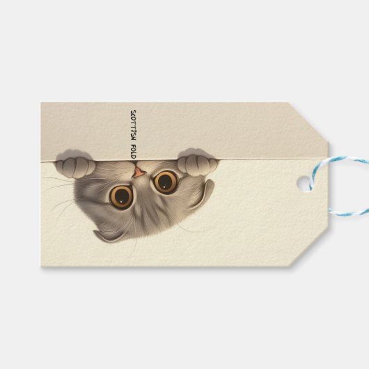 Kattenras Schotse plooi Cadeaulabel (Voorkant (Horizontaal))