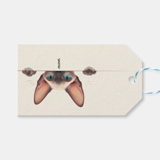 Kattenras Sphynx Cadeaulabel (Voorkant (Horizontaal))
