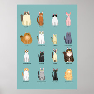 kattenrassen, diverse katten,katten kunst poster