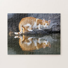 Kattenreflectie in het zeehondenwater, spel legpuzzel