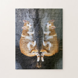 Kattenreflectie in het zeehondenwater, spel legpuzzel