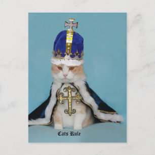 Kattenregel Briefkaart