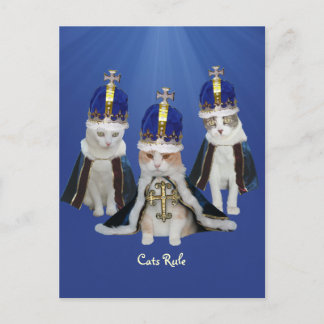 Kattenregel Briefkaart