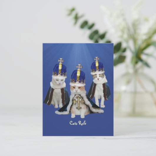 Kattenregel Briefkaart (Staand voorkant)