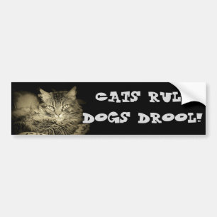 Kattenregel Honden Drool Bumper Cat Bumpersticker