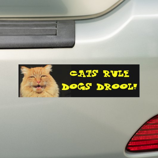 Kattenregel Honden Drool Bumpersticker (Op auto)