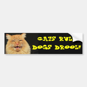 Kattenregel Honden Drool Bumpersticker