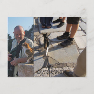 Kattenregel in Ephesus-Briefkaart Briefkaart