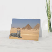 Kattenregel! Kaart (Voorkant)