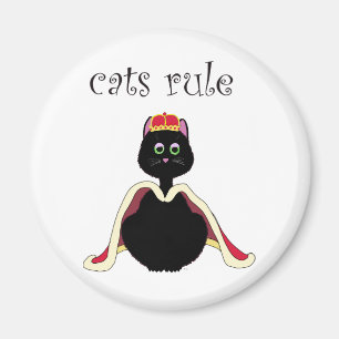 Kattenregel Magneet