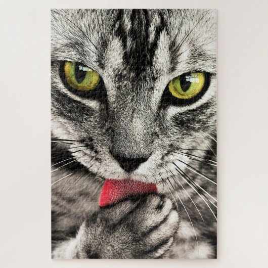 Kattenreiniging Legpuzzel (Verticaal)