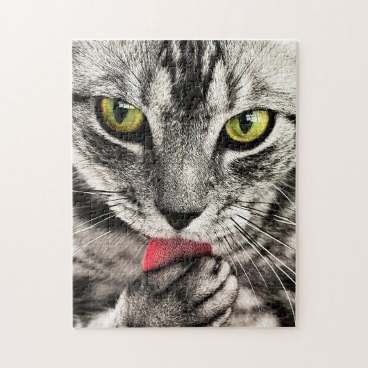 Kattenreiniging Legpuzzel (Verticaal)