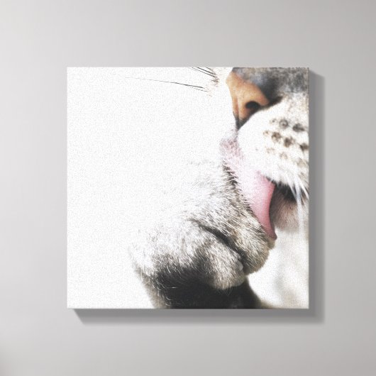 Kattenreinigingspagina Canvas Afdruk (Voorkant)