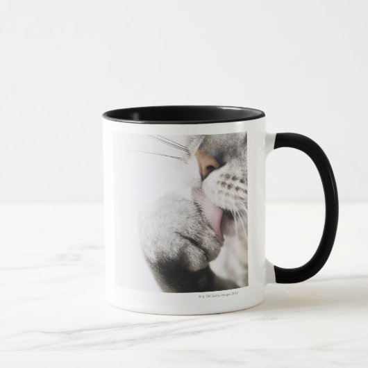Kattenreinigingspagina Mok (Rechts)