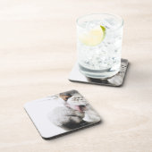 Kattenreinigingspagina Onderzetter (Rechterzijde)