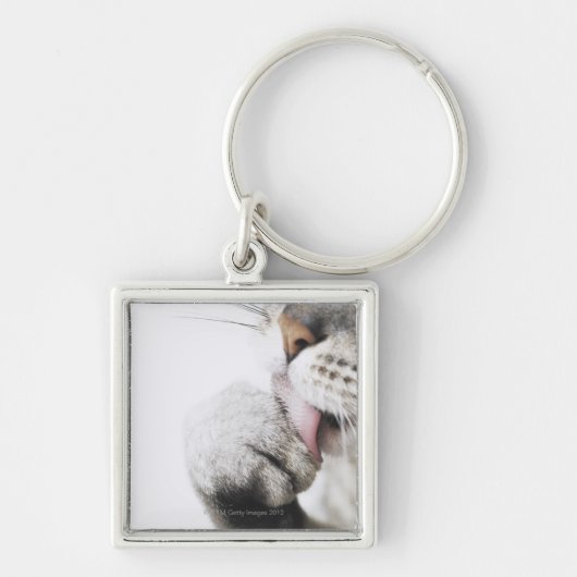Kattenreinigingspagina Sleutelhanger (Voorkant)