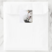 Kattenreinigingspagina Vierkante Sticker (Tas)