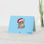 Kattenritje Feestdagen Kaart (Achterkant)