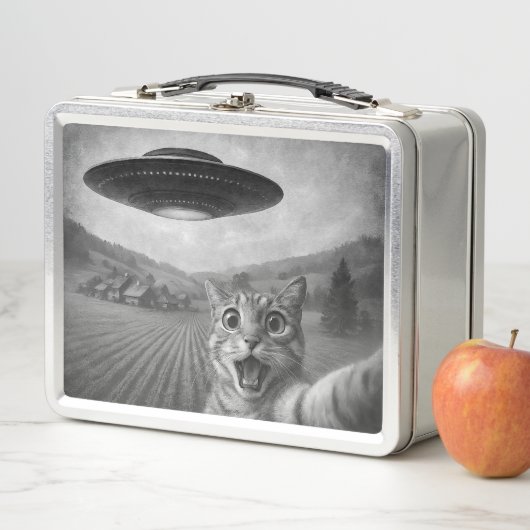 Kattenselfie met buitenaardse UFO grappige katteng (In situ)
