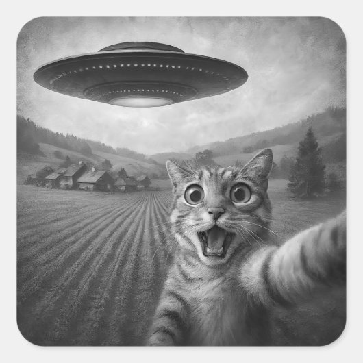 Kattenselfie met buitenaardse UFO grappige katteng Vierkante Sticker (Voorkant)
