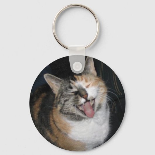 kattensleutelketen lachen sleutelhanger (Voorkant)