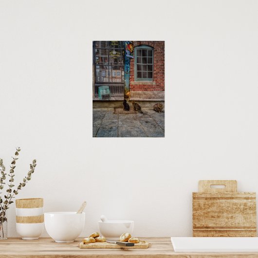 Kattenspel Poster (Keuken)