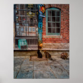 Kattenspel Poster (Voorkant)