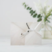 Kattenspringen Briefkaart (Staand voorkant)